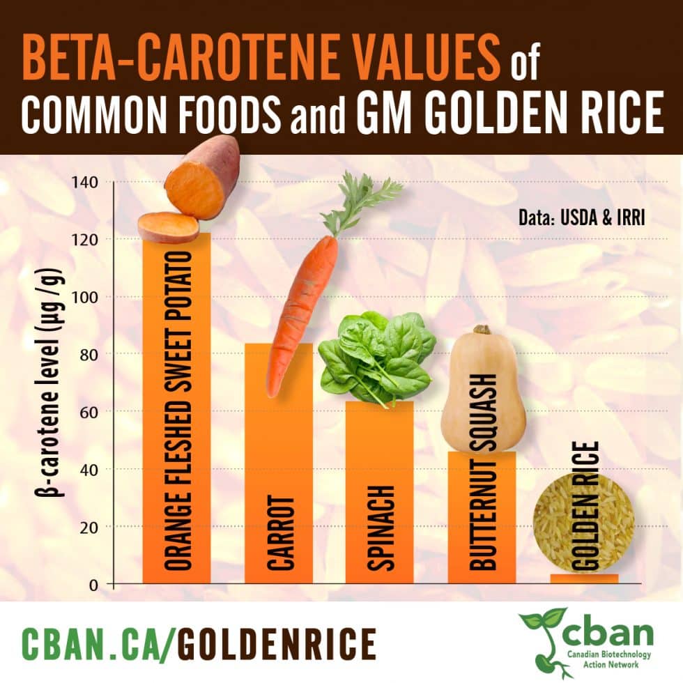 Golden Rice | CBAN